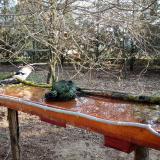 photo 2021-03-26 07-39-33