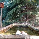 photo 2023-10-12 10-11-54