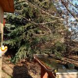 photo 2021-12-15 11-55-21