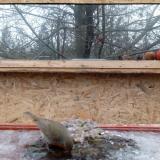 photo 2022-01-20 09-00-33