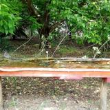 photo 2021-05-13 12-42-54