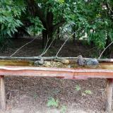 photo 2021-07-26 08-48-35