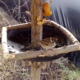 photo 2019-02-08 10-02-28