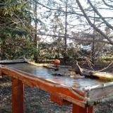 photo 2022-03-13 07-24-30