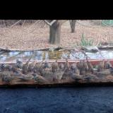 photo 2021-11-30 14-15-00