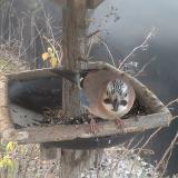 photo 2019-12-29 08-19-41