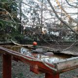 photo 2022-03-21 17-13-53