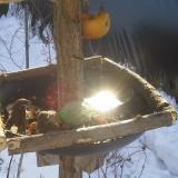 photo 2019-01-27 10-12-55