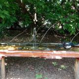 photo 2021-08-04 13-36-14