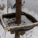 photo 2019-01-08 13-56-14