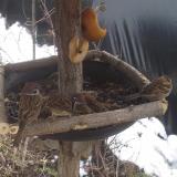 photo 2019-02-01 11-39-02