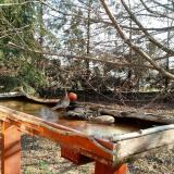 photo 2022-03-05 09-24-22