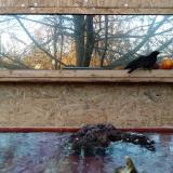 photo 2022-01-22 15-44-49