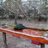 photo 2021-03-21 18-02-38