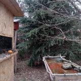 photo 2021-12-27 09-39-24