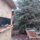 photo 2021-12-29 08-01-55