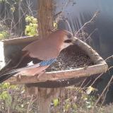 photo 2019-12-19 10-03-49