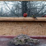 photo 2022-01-16 08-25-57