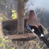 photo 2019-12-22 11-41-38