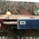 photo 2021-02-08 10-57-55