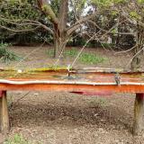 photo 2021-04-11 11-43-36