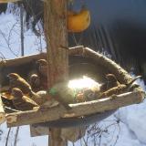 photo 2019-01-27 10-06-32