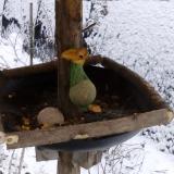 photo 2019-01-20 10-12-28