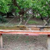 photo 2021-05-07 06-55-26