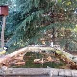 photo 2023-10-07 08-28-13