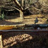 photo 2021-10-25 15-44-19