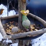 photo 2019-01-14 11-00-34