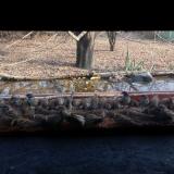 photo 2021-11-25 14-03-33