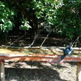 photo 2021-09-06 10-01-13