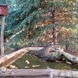 photo 2023-10-14 07-59-36