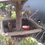 photo 2019-12-06 10-02-11