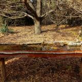 photo 2021-10-26 14-35-09