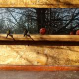 photo 2022-01-15 10-17-29