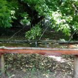 photo 2021-05-31 10-31-00