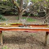 photo 2021-04-11 08-55-11