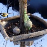 photo 2019-01-11 14-42-45