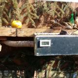 photo 2021-02-15 11-54-55