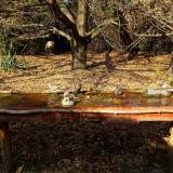 photo 2021-10-27 14-11-13