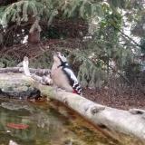 photo 2023-10-12 17-40-32