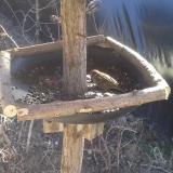 photo 2019-02-23 11-51-58