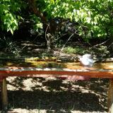 photo 2021-05-10 10-31-26