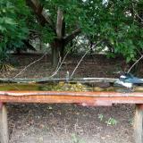 photo 2021-08-23 15-05-09