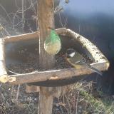 photo 2019-02-12 08-15-22