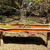 photo 2021-04-10 11-13-33