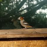 photo 2023-10-24 08-51-39 meggyvago