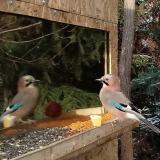 photo 2022-01-09 12-58-33 szajko